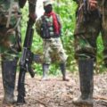 Al menos seis guerrilleros del ELN fallecieron en Operación militar en frontera con Venezuela