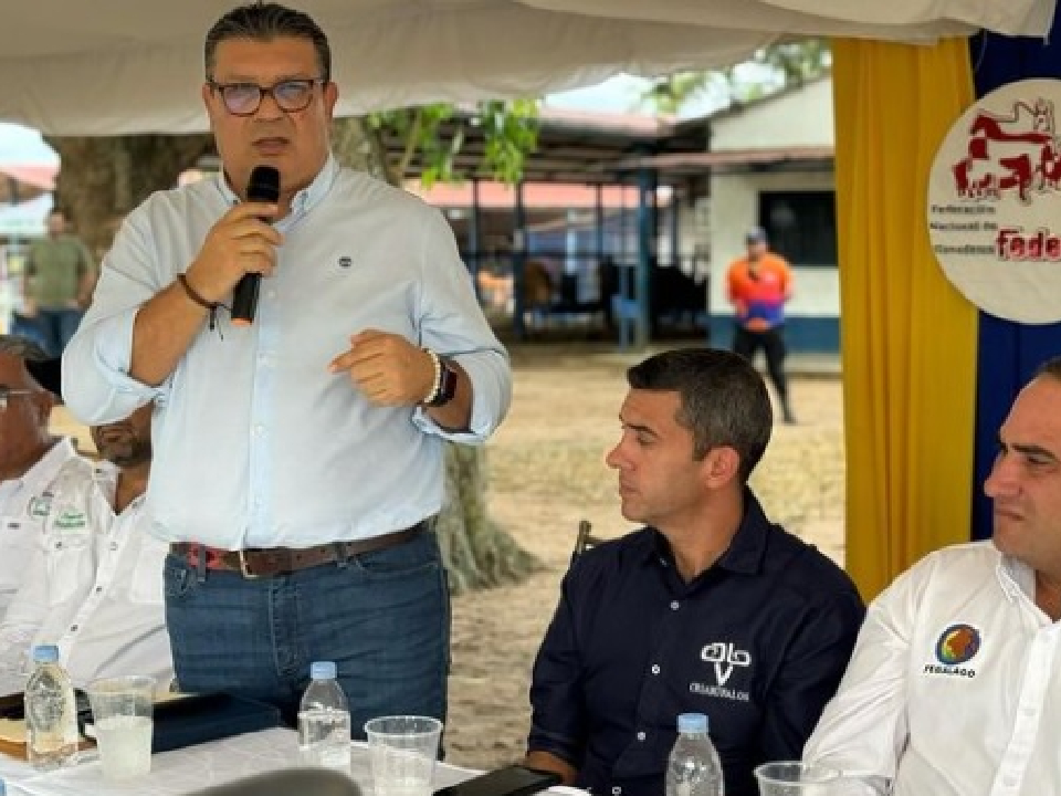 Fedenaga solicita incentivos fiscales y acceso a créditos para impulsar la producción