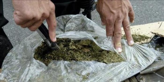 Incautan siete toneladas de marihuana en Colombia: El cargamento más grande de los últimos siete años