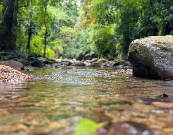 El Desafío llega a Juyasirrain en Mara, un mundo ancestral espera ser descubierto