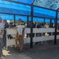 Reportan repunte migratorio por la frontera de Táchira: Hasta 300 pasaportes venezolanos sellan, por jornada, en taquillas de San Antonio