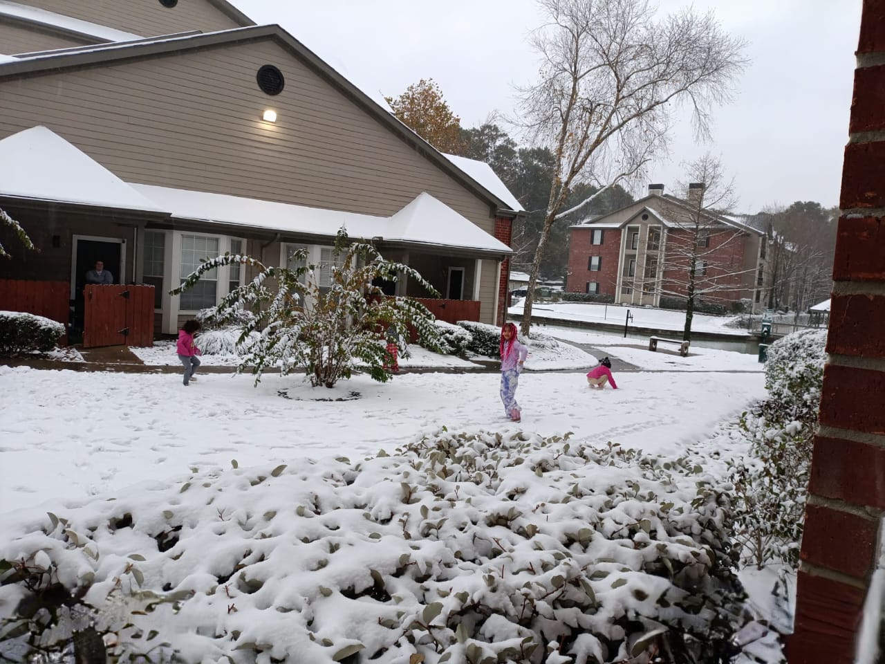 Así se ve la nevada en Houston, Texas: 