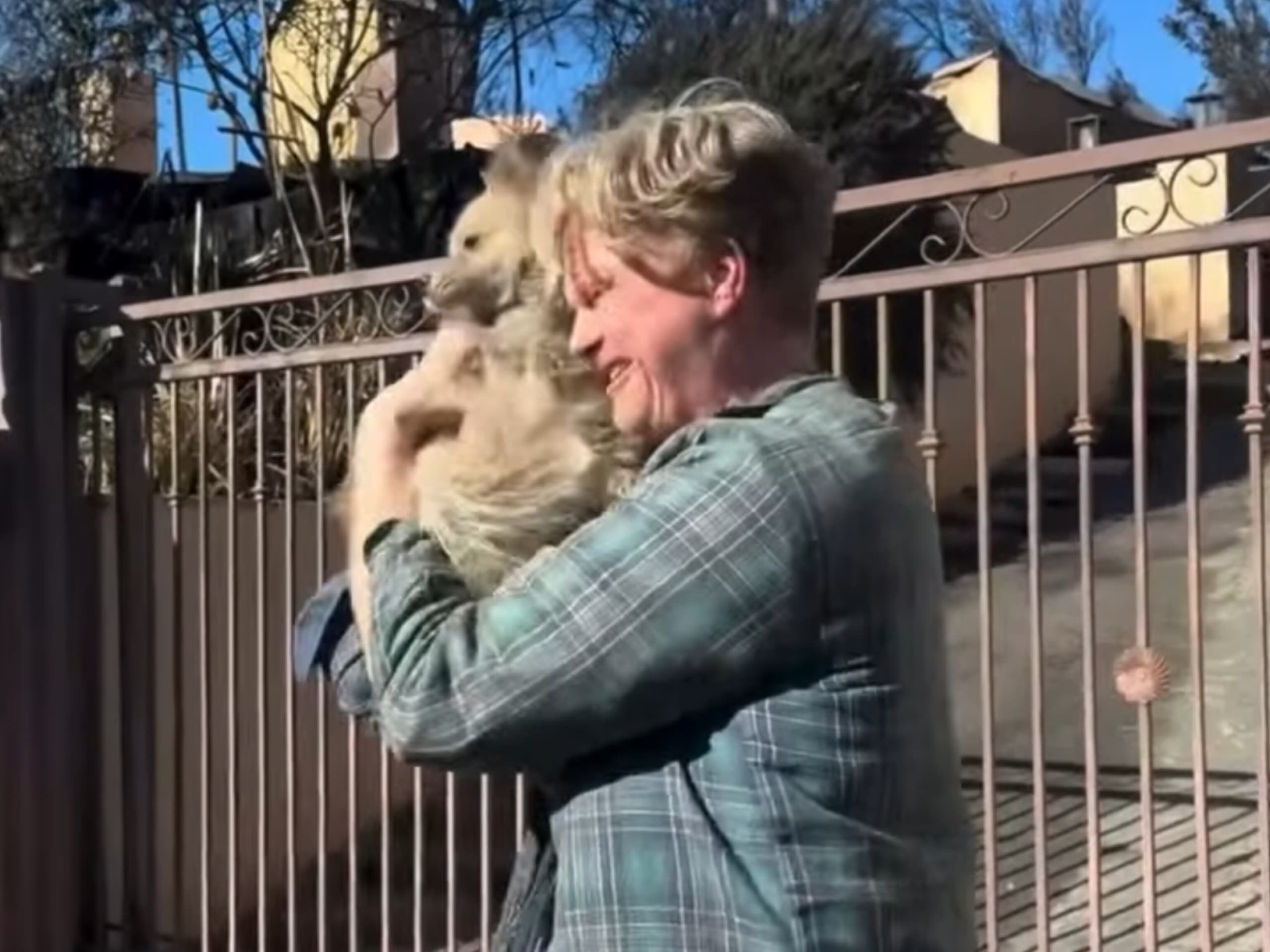 Conmovedor reencuentro tuvo este hombre con su mascota en medio de los devastadores incendios que azotan a Los Ángeles