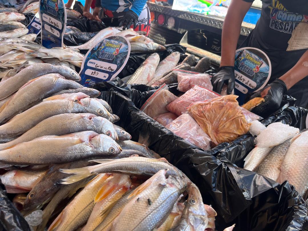 Venezuela come Pescado inicia en el Zulia con la distribución de 10 toneladas de productos del mar en 2025