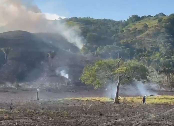 Barinas: reportan 11 incendios forestales en lo que va de año