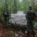 Incautan cinco toneladas de marihuana en Amazonas