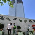 Torre Grenfell de Londres será demolida tras incendio