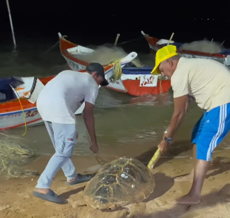 Pescadores devuelven al Lago de Maracaibo una tortuga en peligro de extinción 