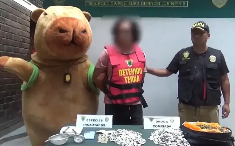 Un policía disfrazado de capibara fue parte de un operativo para detener a un narco en Perú