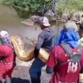 Anaconda de cuatro metros fue localizada en torres de alta tensión de la vía al Guri