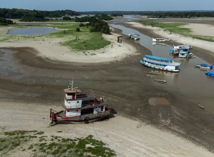 Brasil perdió el 2,2 % de su superficie de agua en 2024