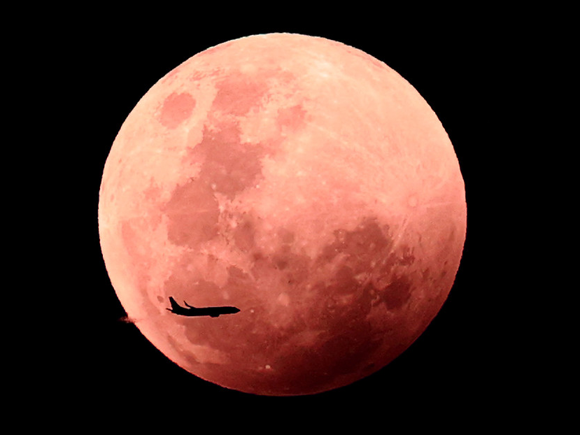 Lo que deseas saber sobre la Luna de Sangre