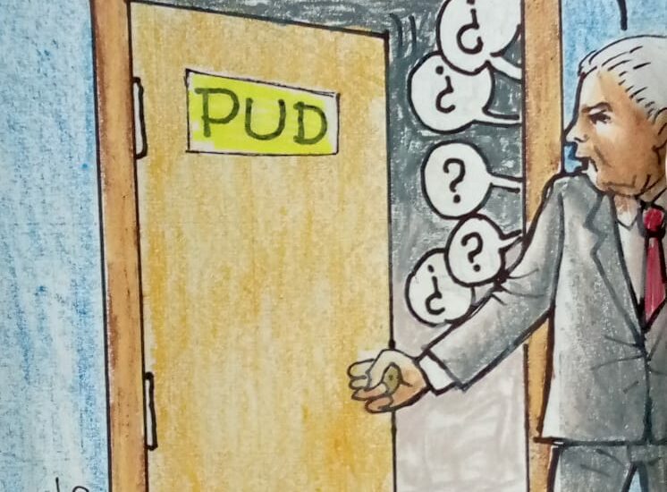 PUD: ¡Cuándo el río suena piedras trae!… (José Aranguibel Carrasco)