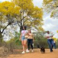 Comienza el espectáculo amarillo: Los Curarires en el Jardín Botánico