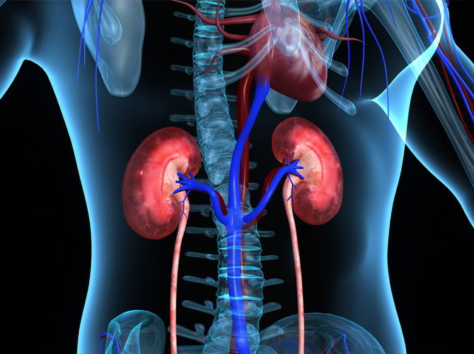 Sociedad de Nefrología: Enfermedad renal crónica 