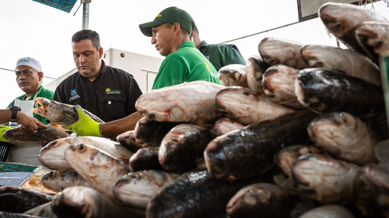 Arrancó la ‘Feria del Pescado 2025’ en Maracaibo