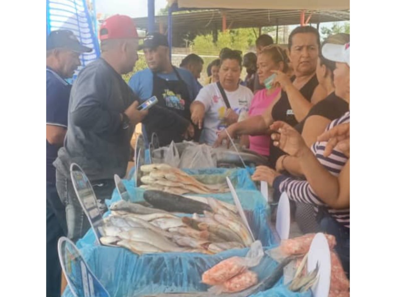 Inicia en el Zulia el plan Venezuela Come Pescado