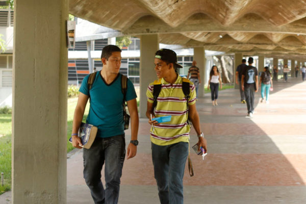 ¿Cómo acceder a un cupo universitario a través de Opsu?
