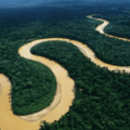 Venezuela participó en encuentro regional de ministros de ambiente de países amazónicos