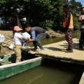 Al menos 7,3 millones de desplazados hacia la región Catatumbo: Colombia es tercer país del mundo más afectado por la violencia