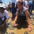 Liberaron más de 22 mil tortuguillos en el Orinoco