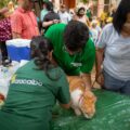 Alcaldía de Maracaibo brinda atención veterinaria gratuita en Francisco Eugenio Bustamante
