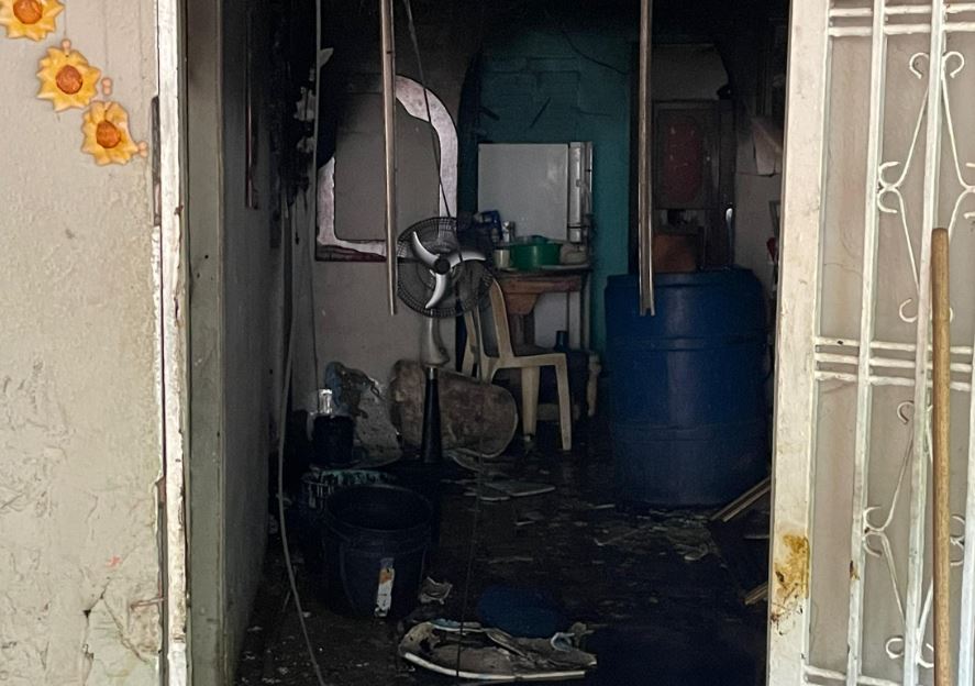 Ayudan al gatico herido en el incendio de Primero de Mayo