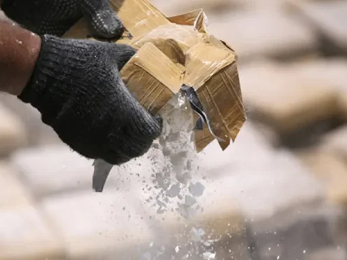 Incautan casi 30 kilos de cocaína en Apure