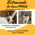 Se perdió una cachorra llamada 