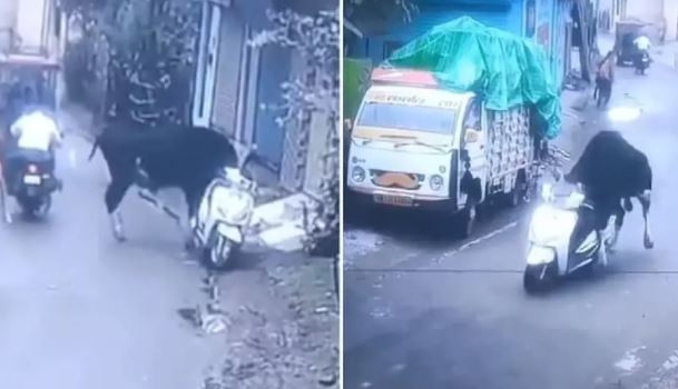 Un toro se montó en una moto y salió a toda velocidad; el insólito caso hizo reír a toda la India