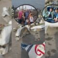 A un año de la tragedia en el Lago: Maracaibo recuerda las víctimas de la aeronave YV-3296
