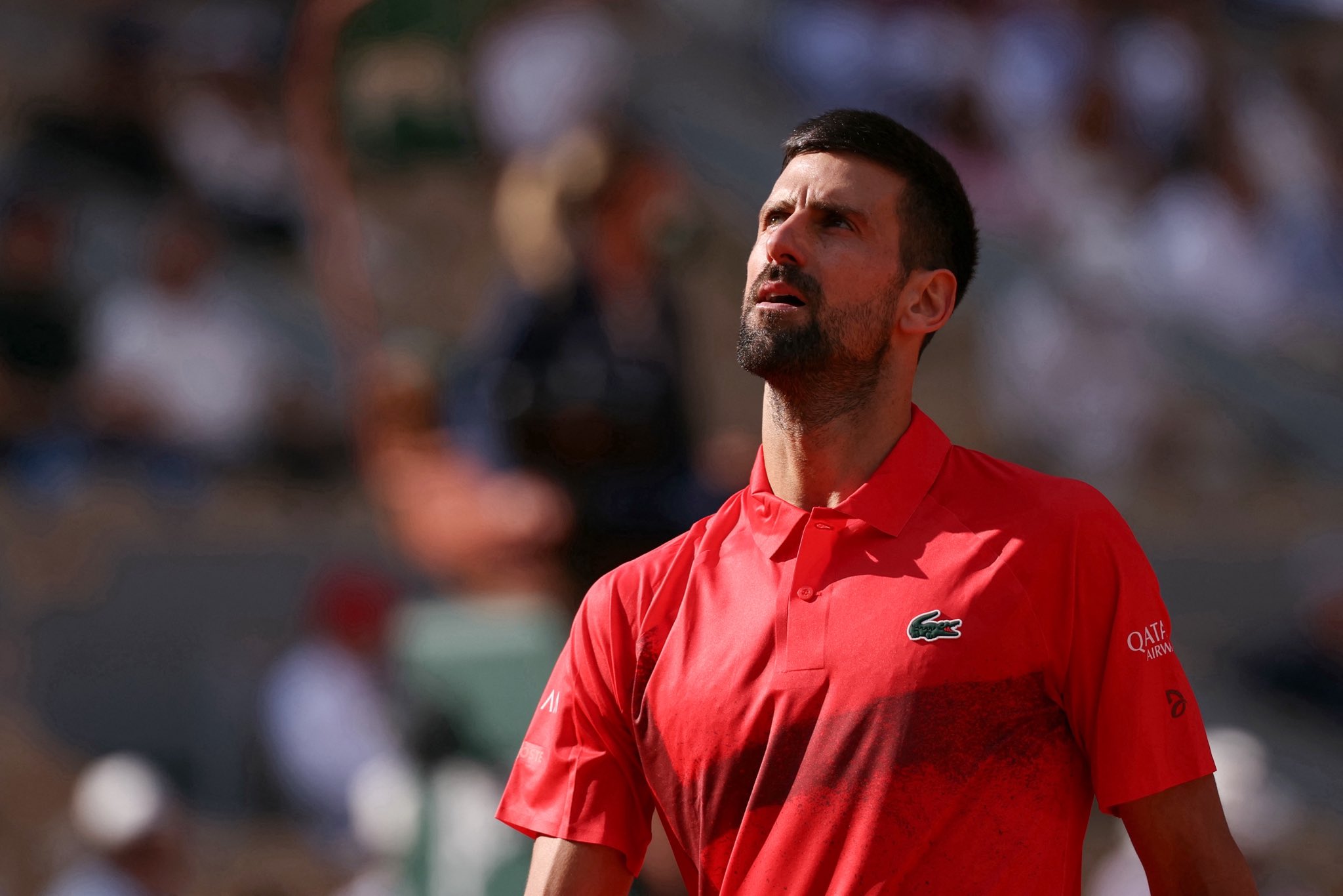 Novak Djokovic alcanzó las 100 victorias en Roland Garros y está en cuartos de final