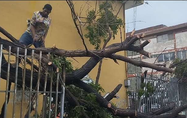 Fuertes lluvias dejaron 21 árboles caídos y nueve viviendas afectadas en Sucre