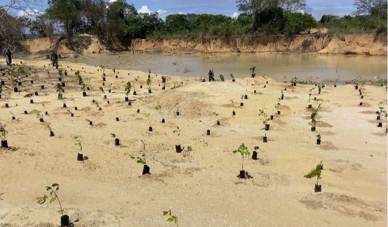 Venezuela anuncia plan de reforestación en zona protegida afectada por las lluvias