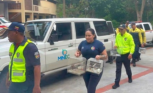 Gobierno rescata veinticinco aves que estaban enjauladas 