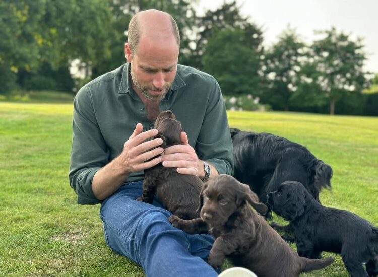 El príncipe de Gales celebra su cumpleaños número 43 rodeado de sus mascotas