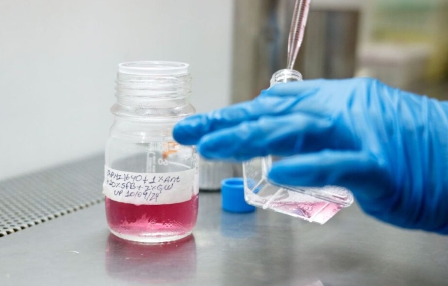 IVIC trabaja en proyecto para mejorar tratamiento contra el cáncer de mama
