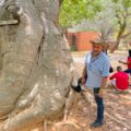 Gigantes silenciosos: 
