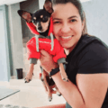 Desaparece Bailey, la llama de La Coromoto que conquistó corazones