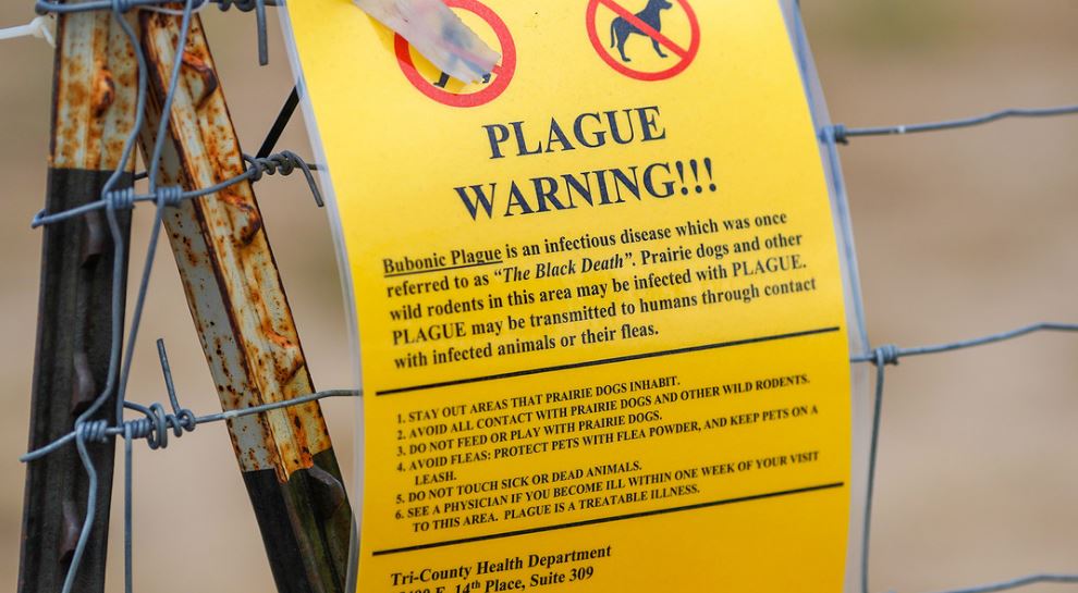 La ‘peste negra’ dejó un muerto en EE.UU.: ¿Qué se sabe de esta enfermedad pulmonar?