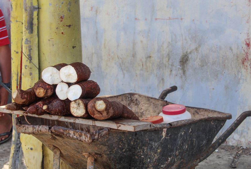 La yuca: Es el 
