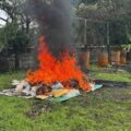 Incineraron 388 kilos de marihuana en Apure