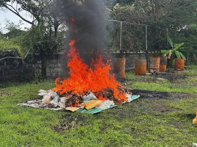 Incineraron 388 kilos de marihuana en Apure