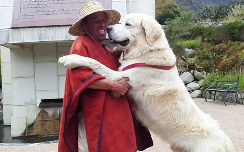 Día del Perro Mucuchíes: Símbolo de la historia y la cultura Venezolana