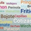 El alma maracucha en palabras: Un viaje por sus modismos y refranes