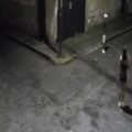 Video: La 