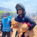 Mascotas rescatadas de la explosión regresaron con sus dueños: Sirven de soporte emocional