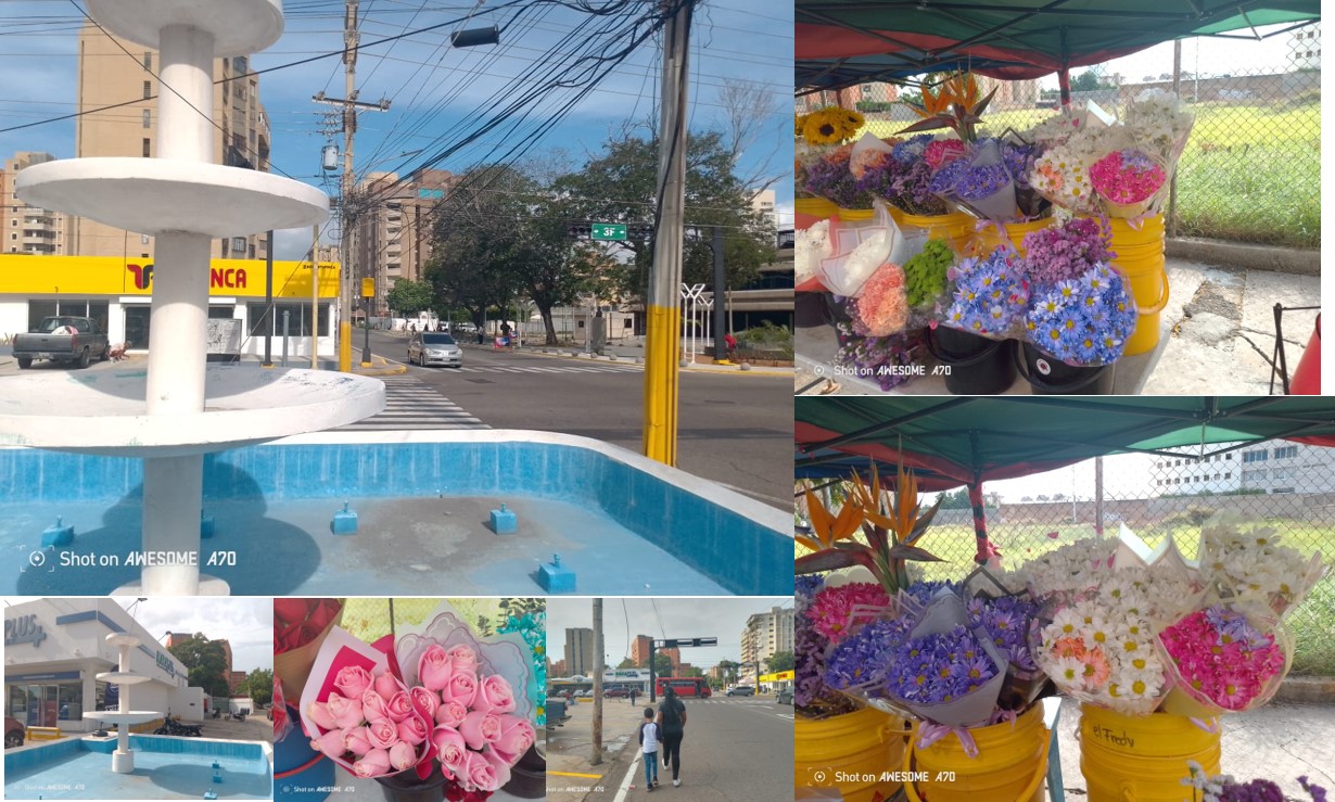 La cuadra de las flores y la fuente seca: Estampas de Maracaibo en primera persona
