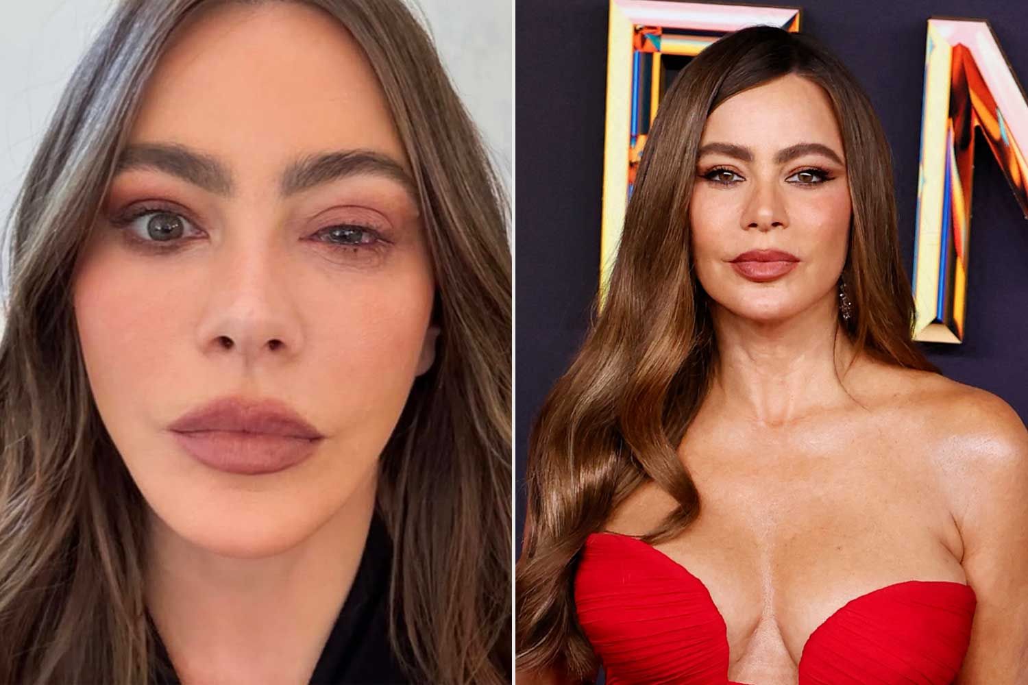 Reacción alérgica obliga a Sofía Vergara a ausentarse de los Emmy 2025