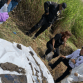 Asesinaron a hombre y enterraron el cadáver junto a unas piezas de su carro en Valencia